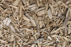 biomass boilers Chatto